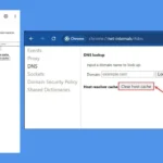 Unlocking the Power of chrome://net-internals/#dns: Your Guide to DNS Management in Chrome